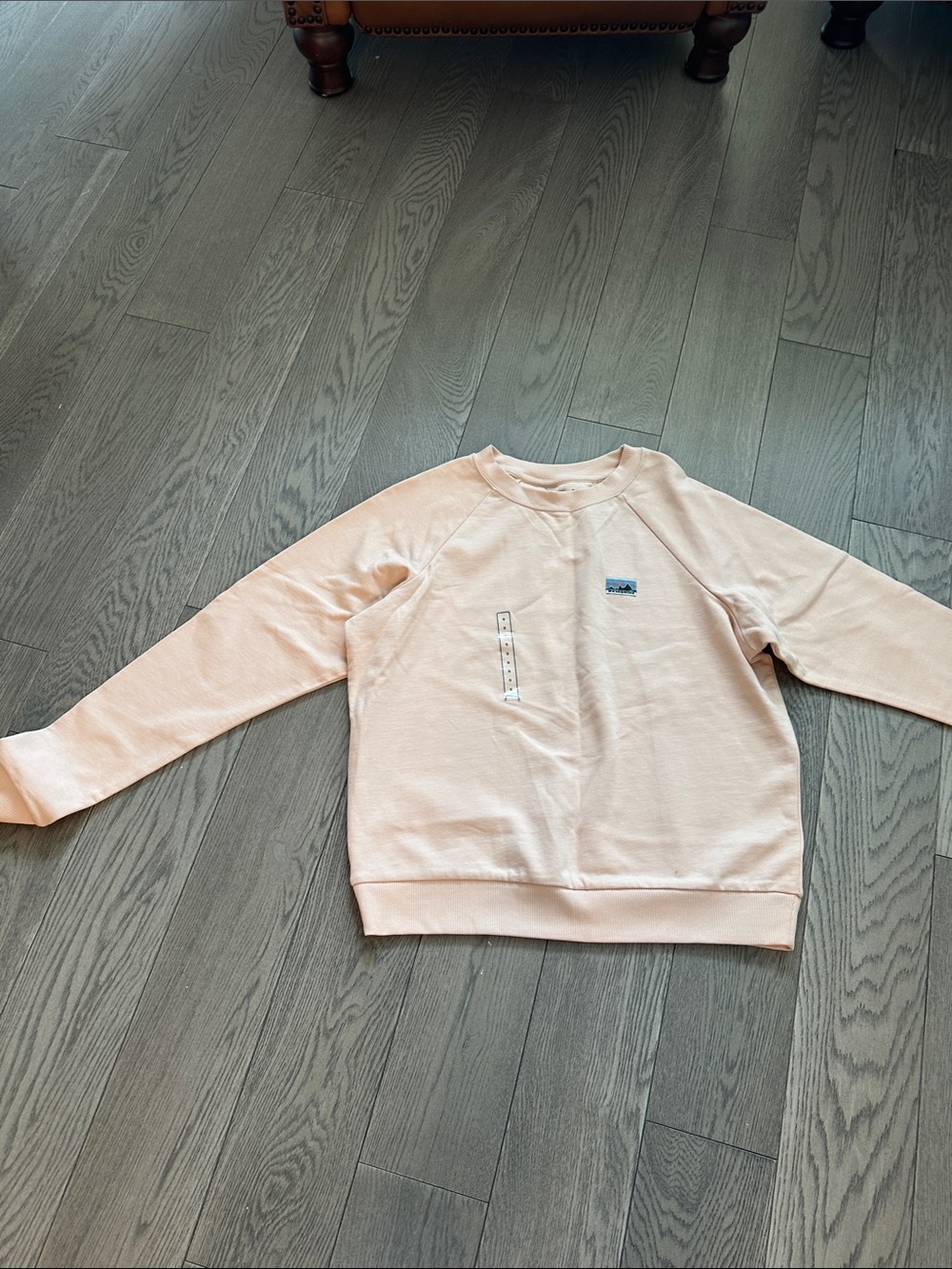 Patagonia Pale Pink Crewneck Sweatshirt